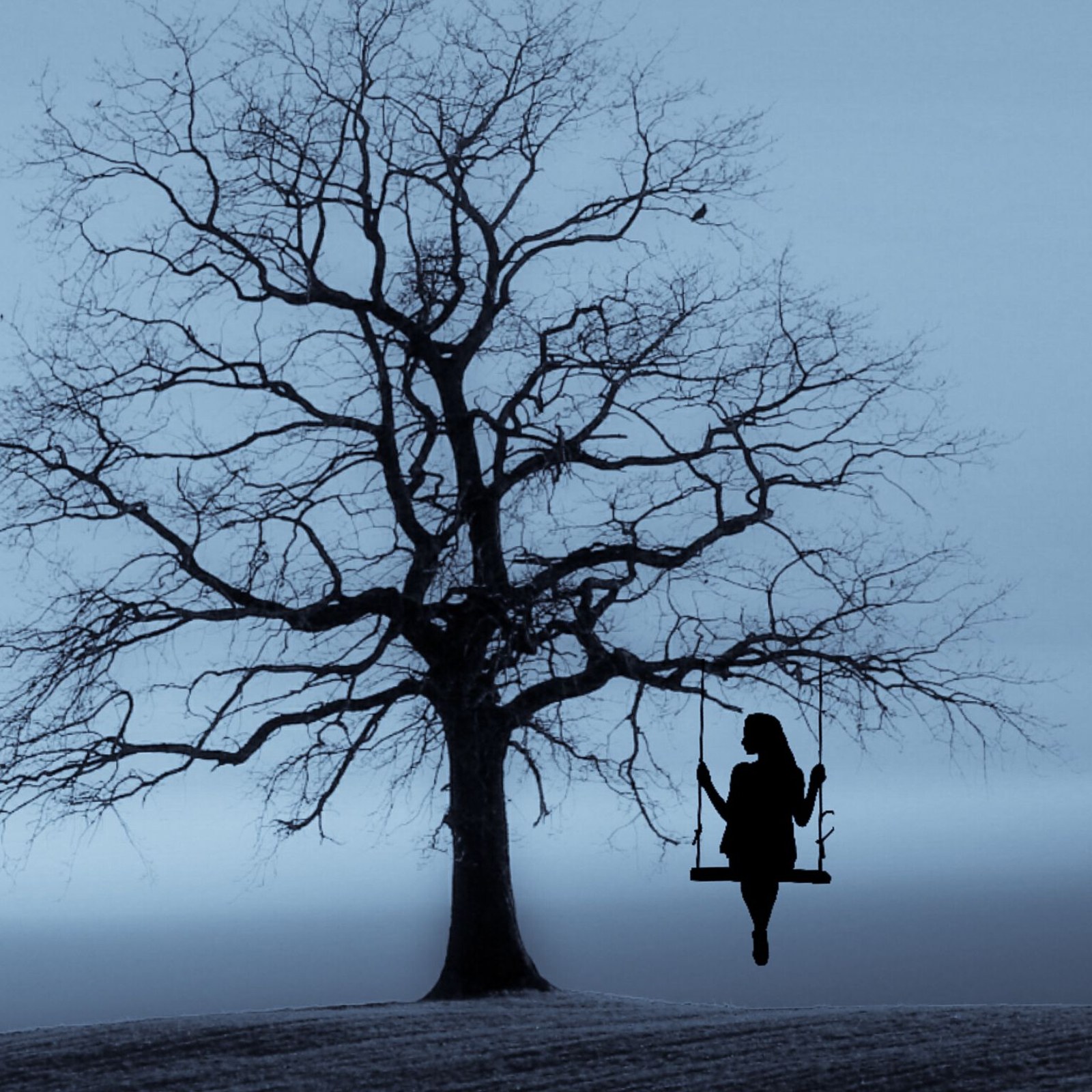 Editor framing a shot with a camera on location